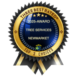 Best Tree services in Newmarket